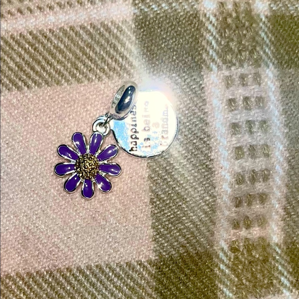 “Happiness is being a Grandma” double pandora type  charm.